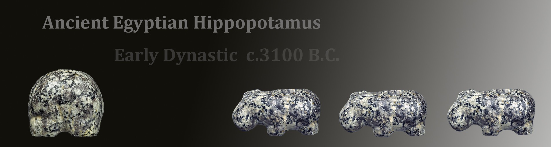 hippo 2020